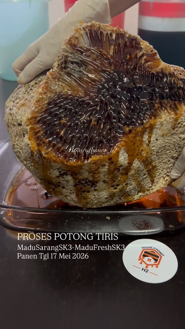 Post 5 by Madu Sarang & Madu Hutan Asli on Instagram (video)