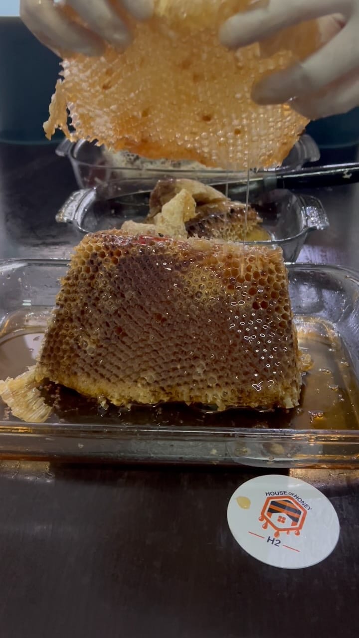 Post 4 by Madu Sarang & Madu Hutan Asli on Instagram (video)