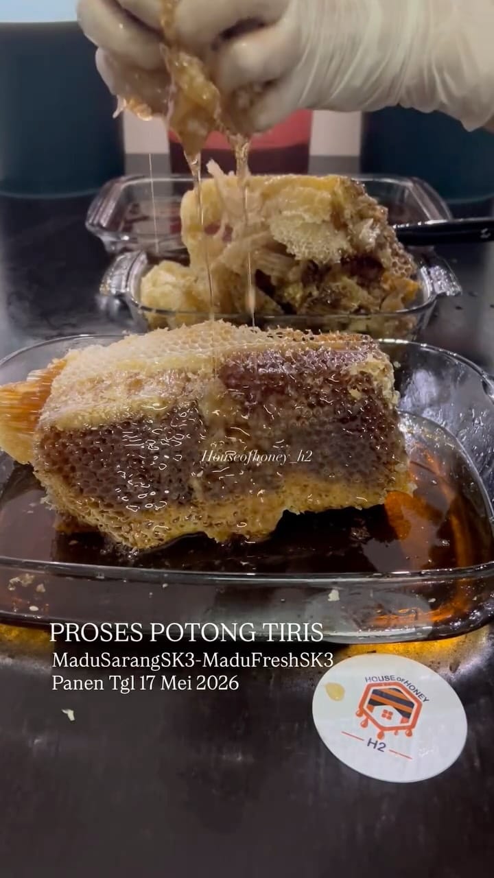 Post 3 by Madu Sarang & Madu Hutan Asli on Instagram (video)