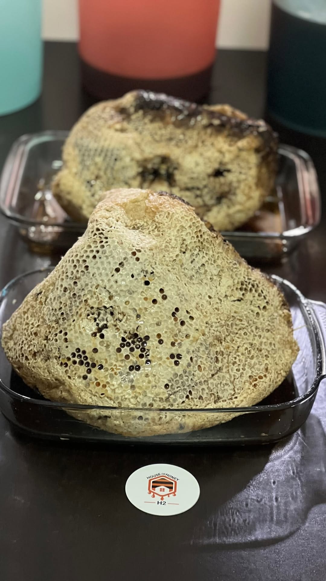 Post 2 by Madu Sarang & Madu Hutan Asli on Instagram (video)