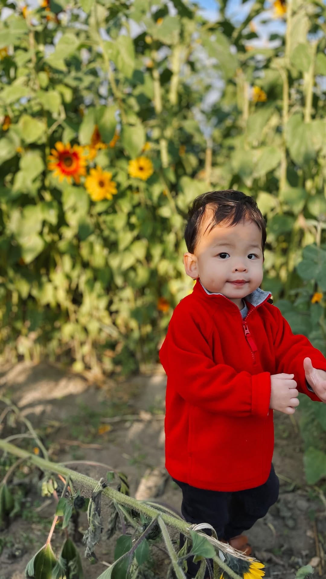 Post 2 by Kat Pham on Instagram (video)