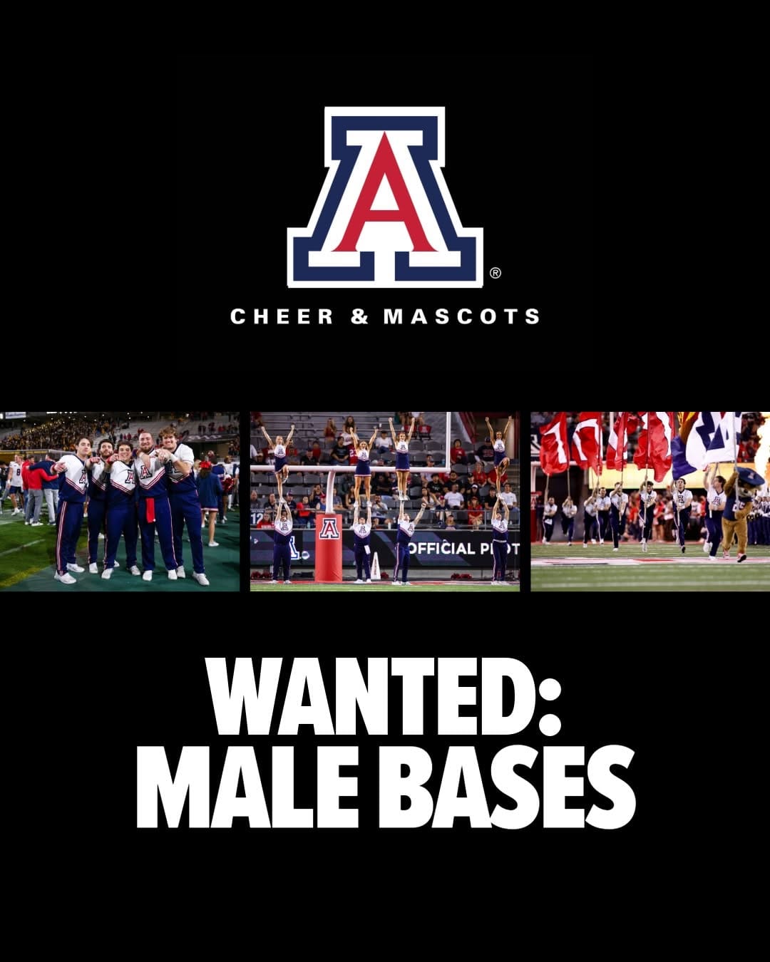 Post 2 by Arizona Cheerleaders & Mascots on Instagram (carousel)
