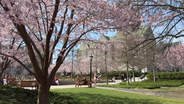 Post 9 by Boston College Admission on Instagram (video)