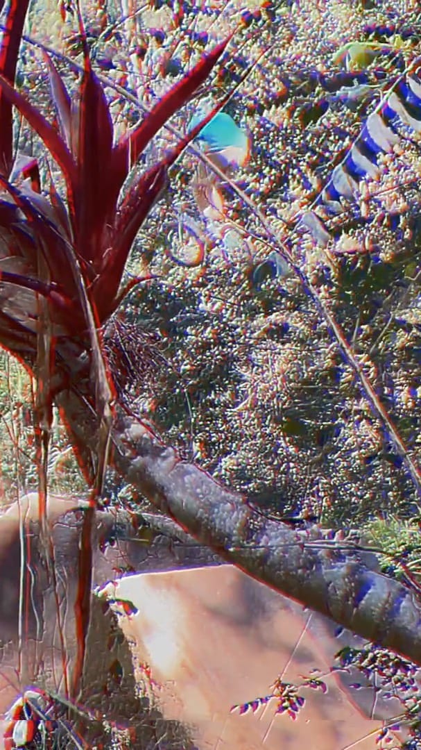 Post 9 by BPtrails on Instagram (video)