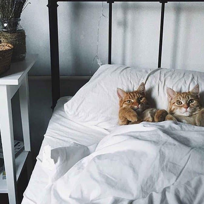 Post 4 by Постельное белье MAGIC SLEEP on Instagram (image)
