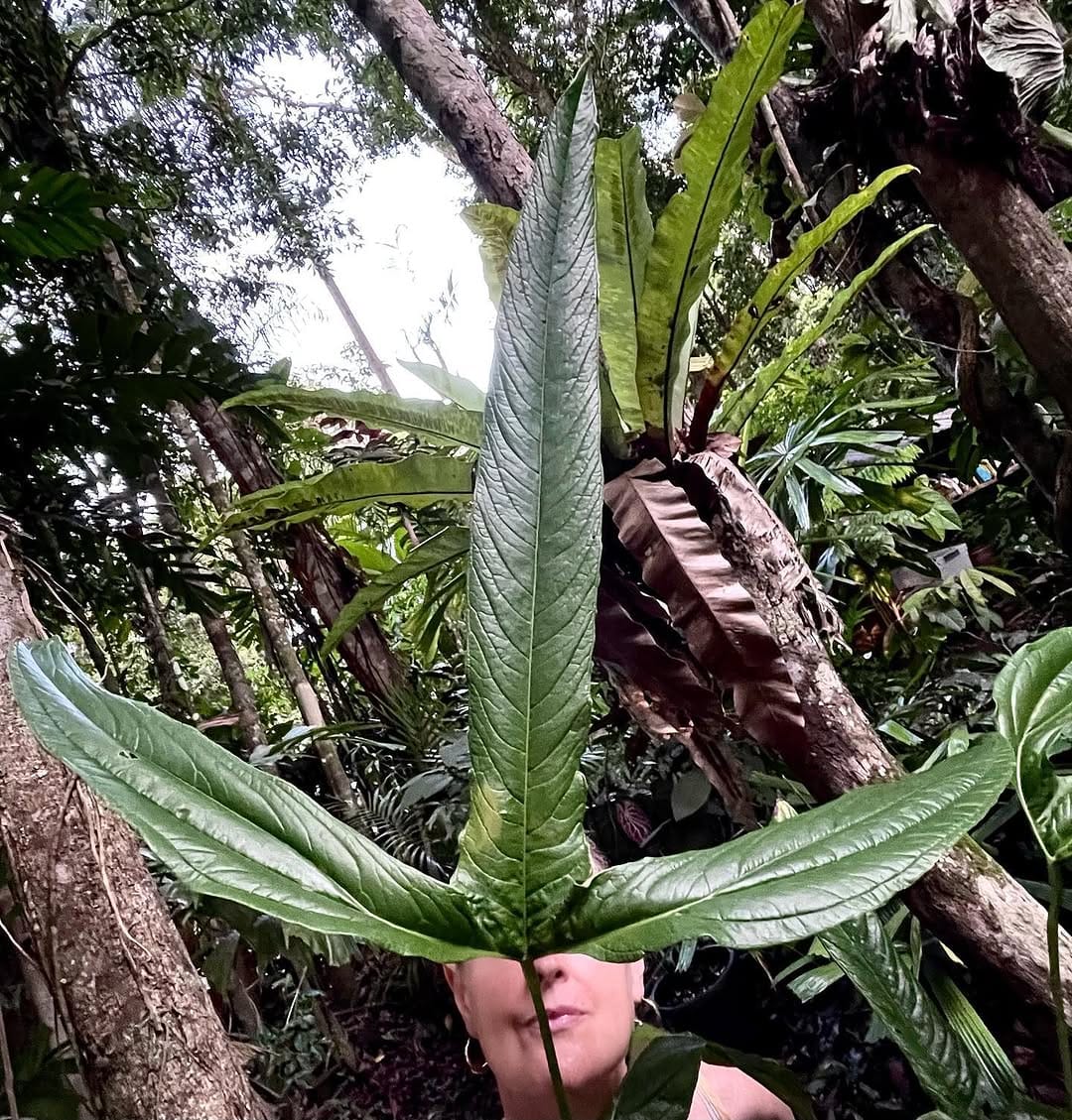 Post 9 by Ken Hossen on Instagram (image)