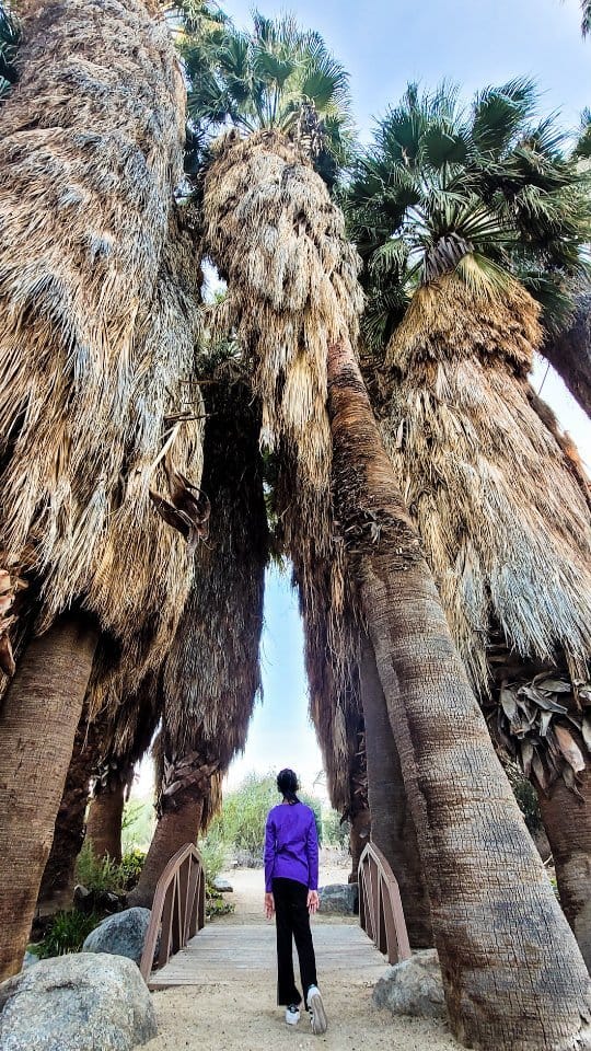 Post 4 by Tribe on a Quest™ 🏳️‍🌈 on Instagram (video)