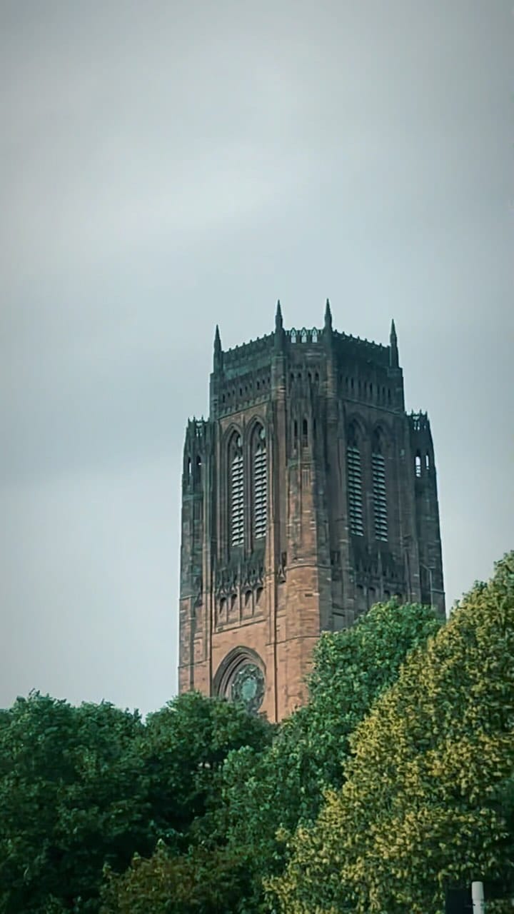 Post 9 by S.Waleed on Instagram (video)