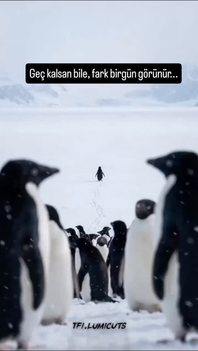 Post 8 by Buket B Güçbey on Instagram (video)