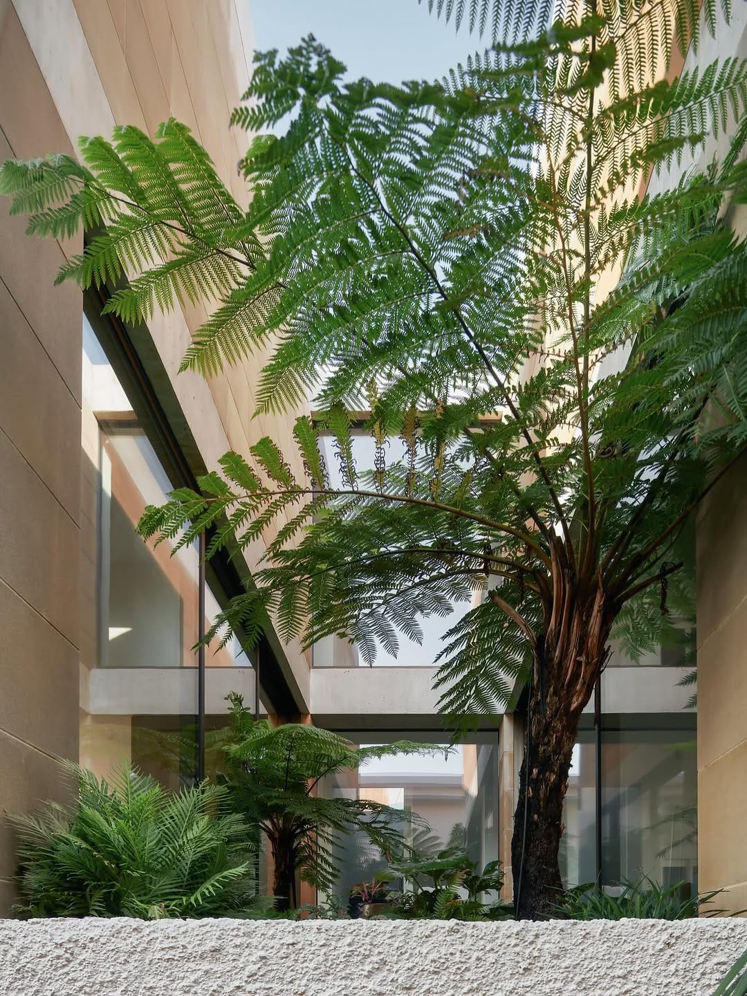 Post 7 by Those Architects on Instagram (carousel)