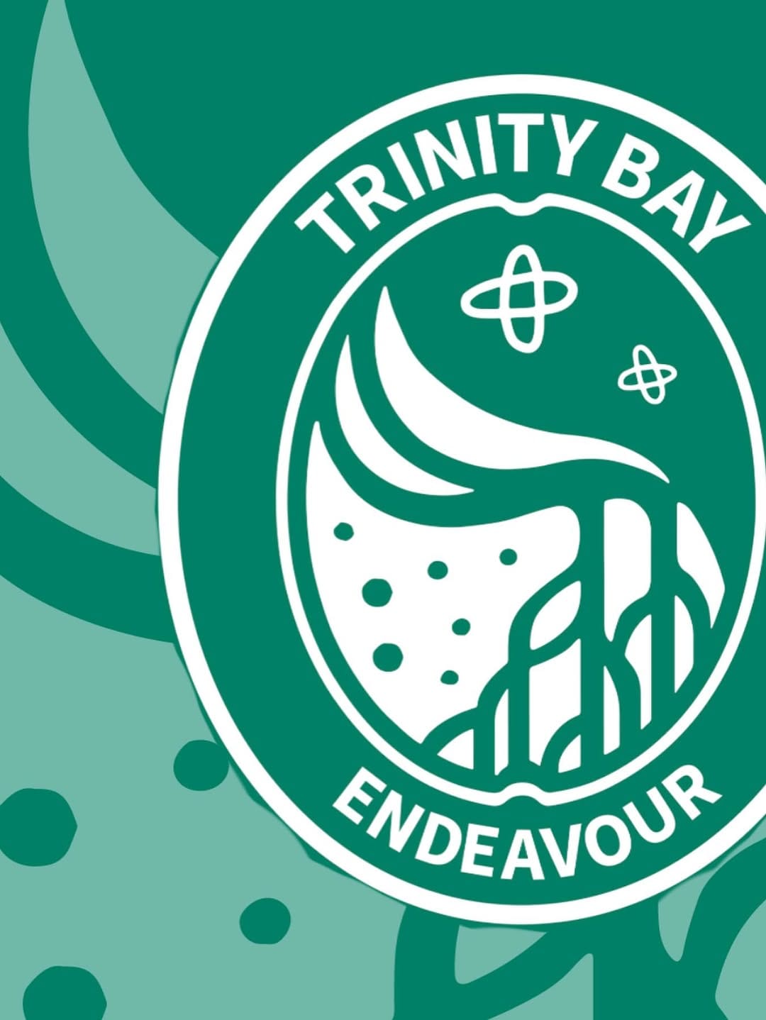 Post 8 by Trinity Bay State High School on Instagram (image)