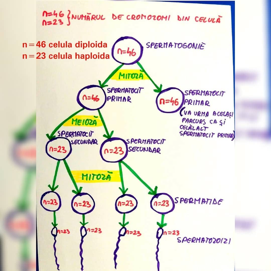 Post 5 by Cum invat? on Instagram (image)