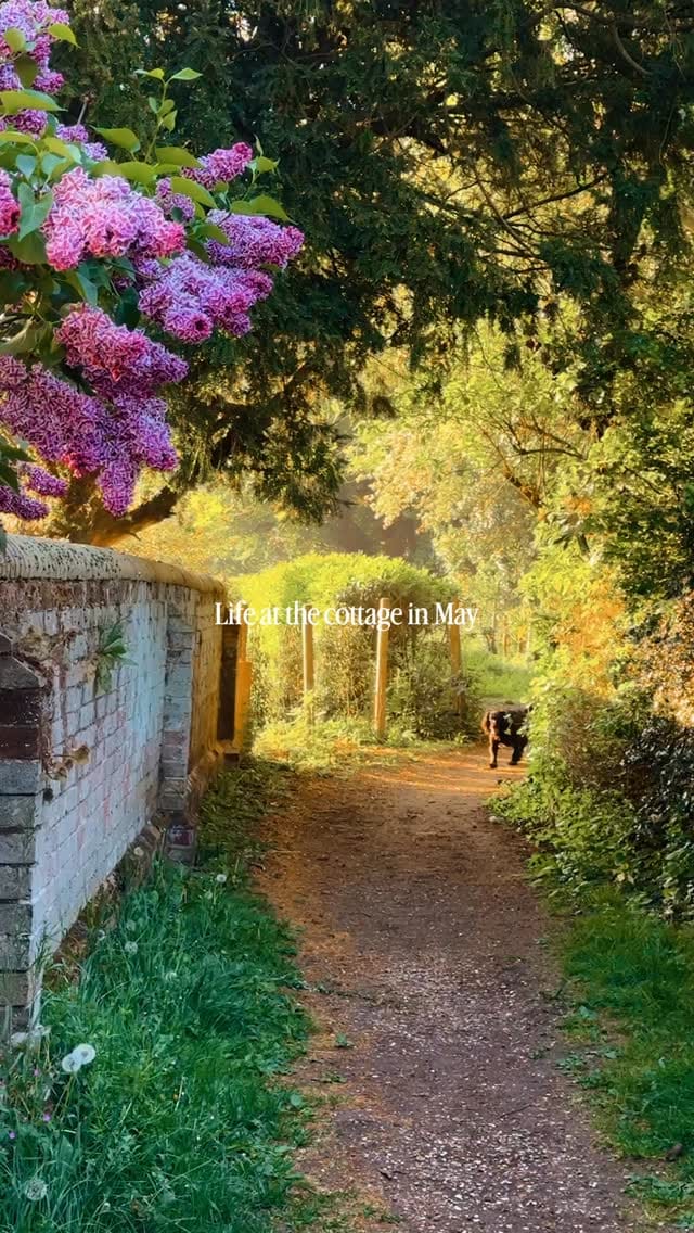 Post 7 by Hannah 📍 UK based travel content creator on Instagram (video)
