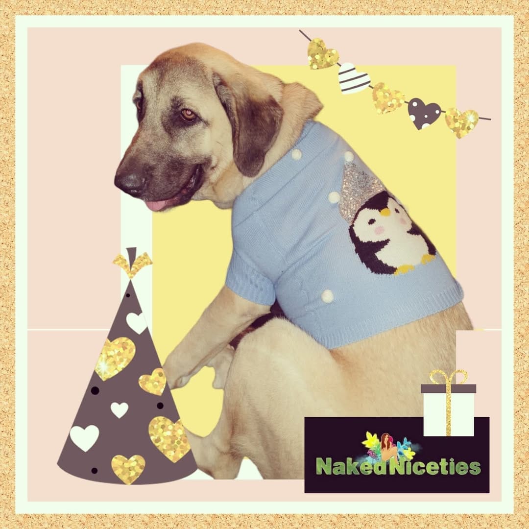 Post 2 by Naked Niceties on Instagram (image)