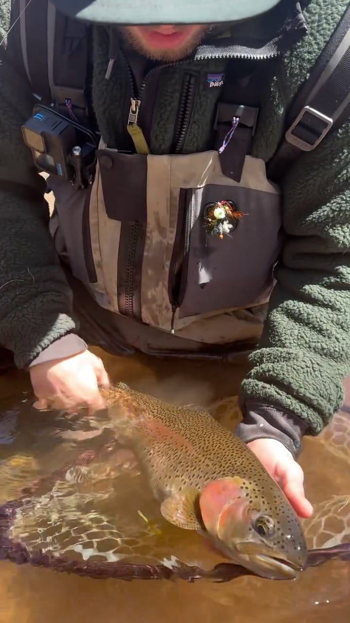 Post 2 by Tip to Tip Fly Fishing on Instagram (video)