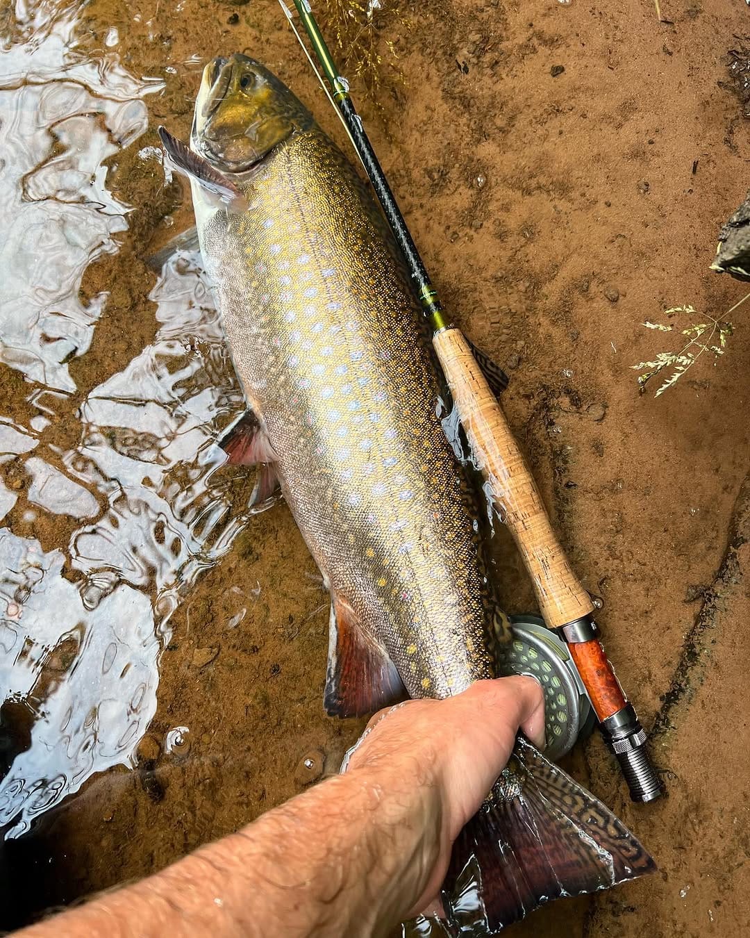 Post 9 by Tip to Tip Fly Fishing on Instagram (carousel)