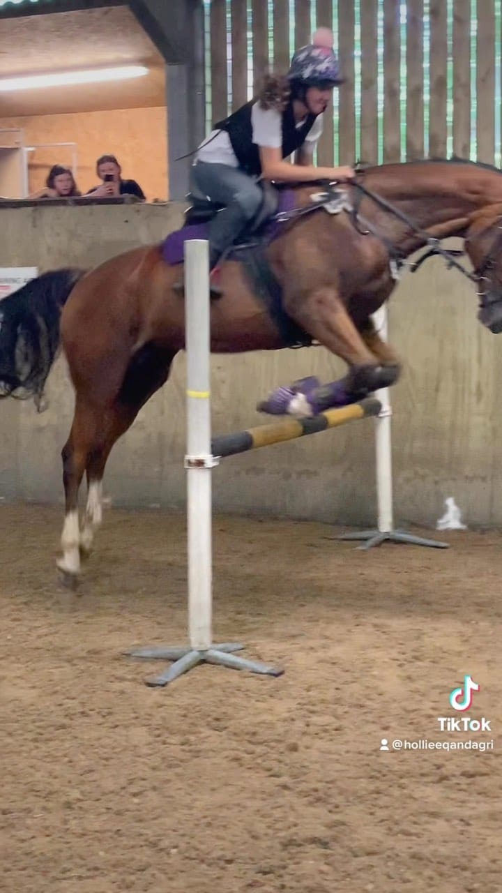 Post 9 by Hollie Milne 💜 on Instagram (video)