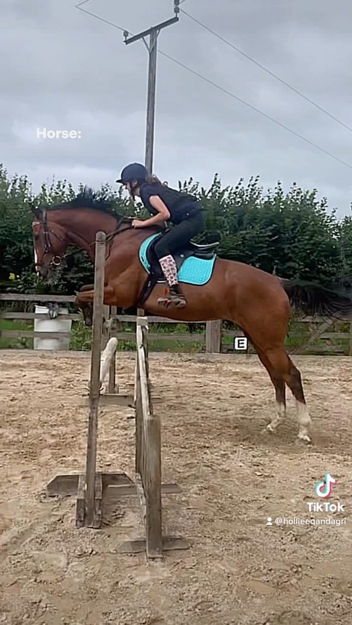 Post 8 by Hollie Milne 💜 on Instagram (video)