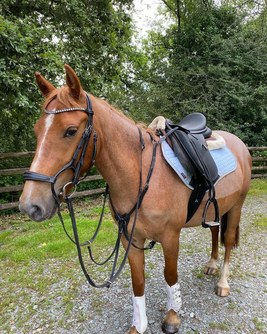 Post 4 by Hollie Milne 💜 on Instagram (carousel)