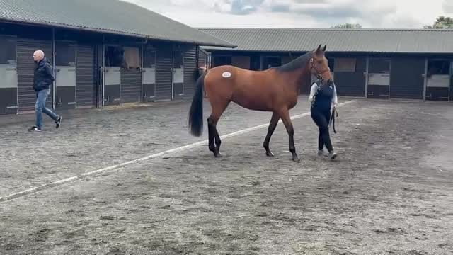 Post 1 by Paul Webber Racing on Instagram (video)