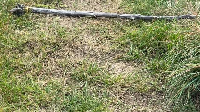 Post 4 by Paul Webber Racing on Instagram (video)