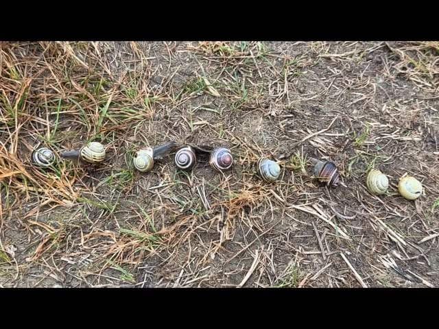 Post 5 by Paul Webber Racing on Instagram (video)