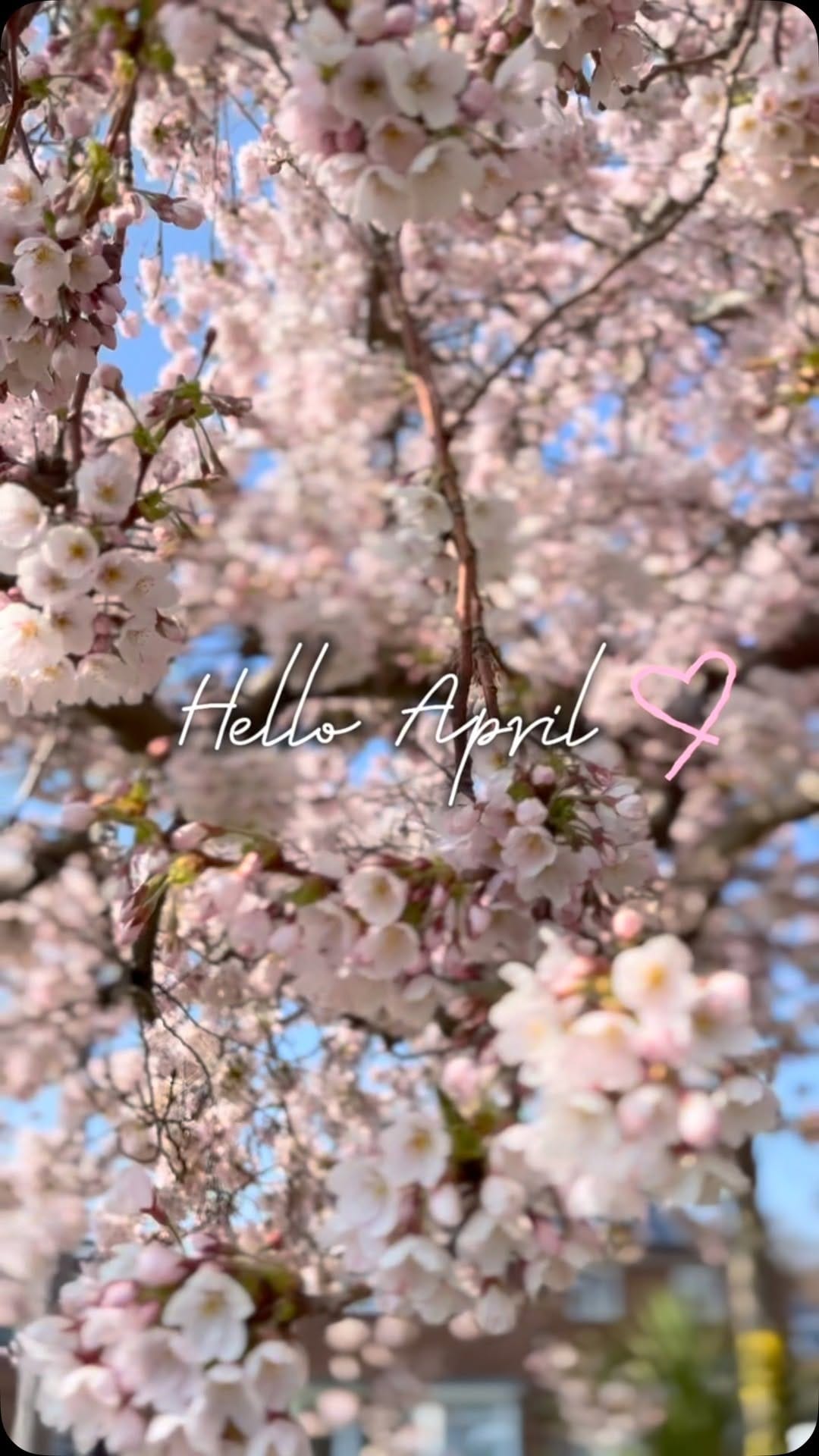 Post 10 by Gemma  ✨ on Instagram (video)