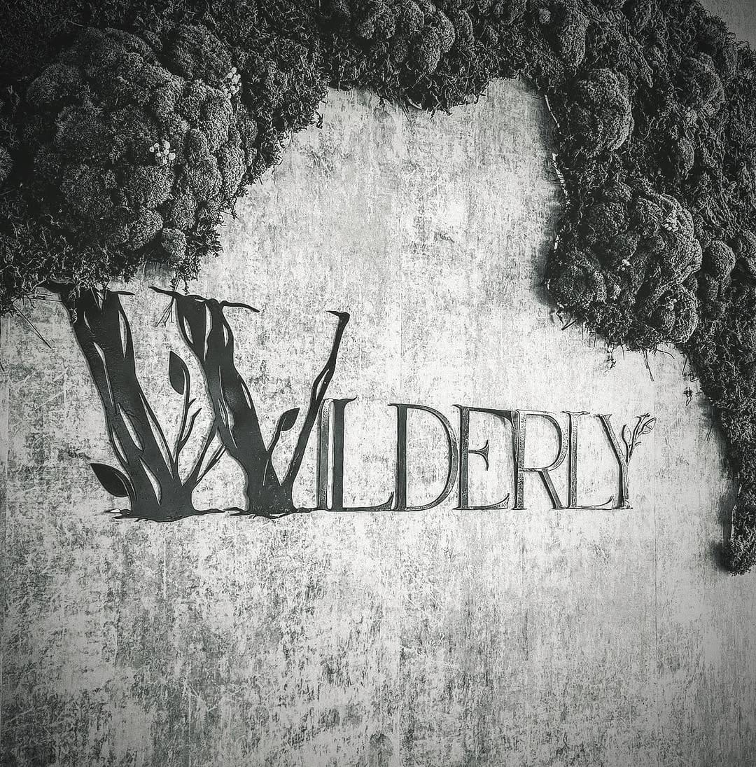 Post 5 by Wilderly on Instagram (image)