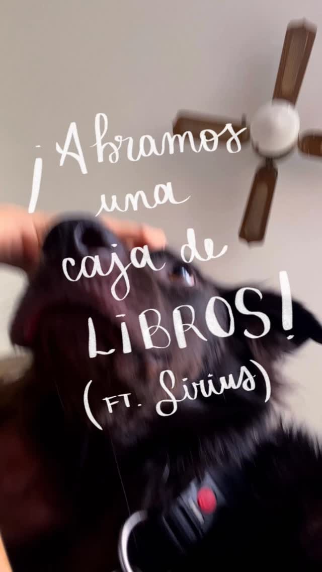 Post 8 by Ana Bidault on Instagram (video)