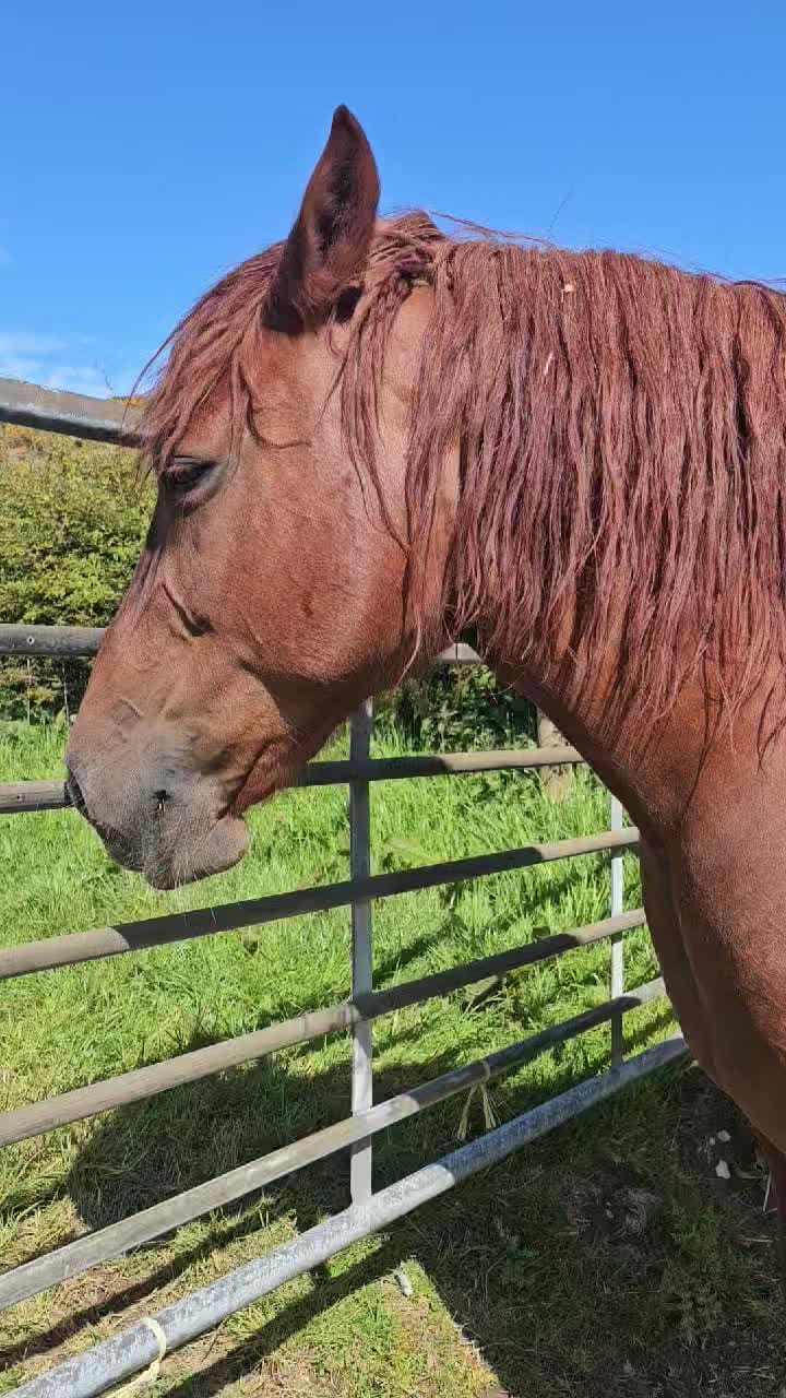 Post 5 by Anne Rose on Instagram (video)