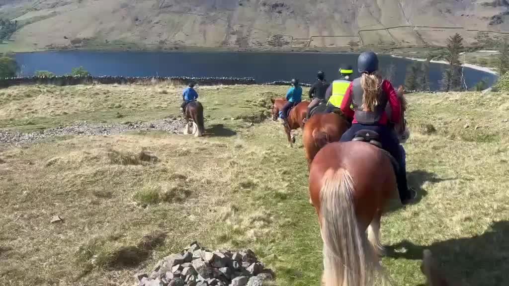 Post 8 by Anne Rose on Instagram (video)