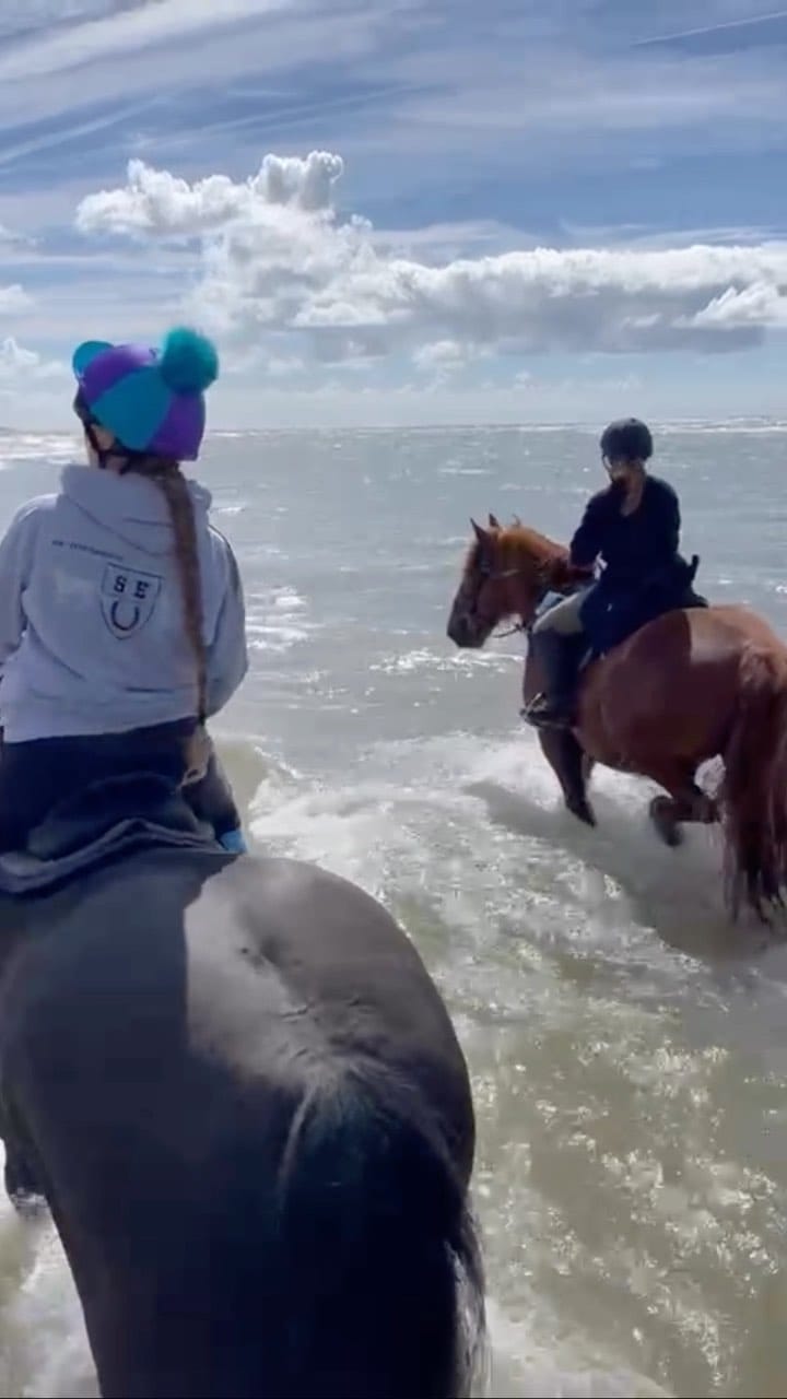 Post 9 by Anne Rose on Instagram (video)