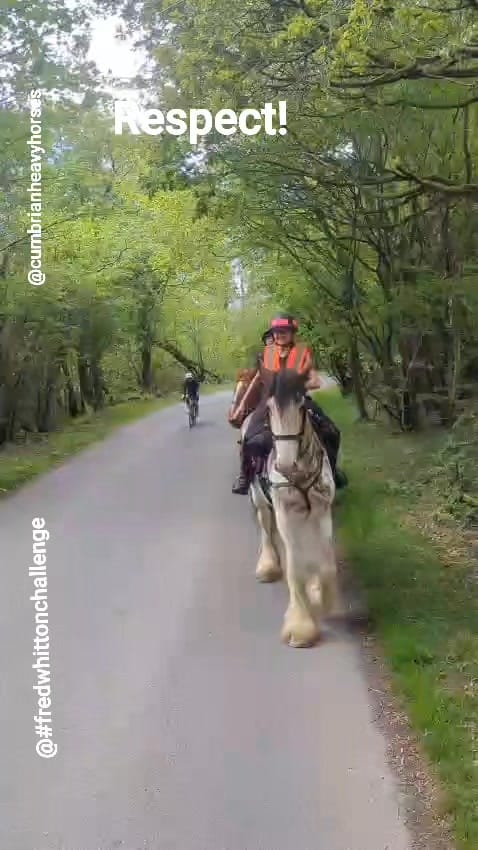Post 6 by Anne Rose on Instagram (video)