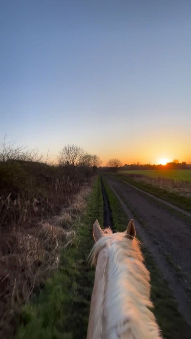 Post 2 by Faye & Rosie on Instagram (video)