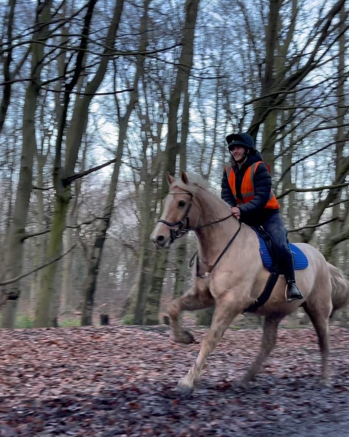 Post 3 by Faye & Rosie on Instagram (carousel)