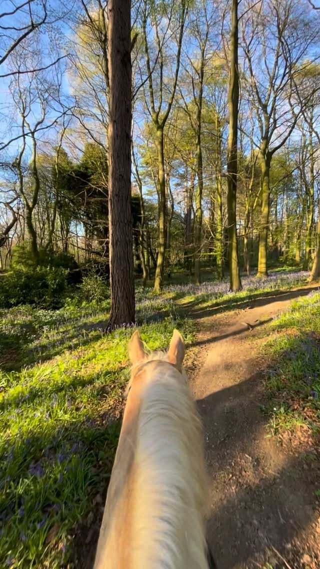 Post 1 by Faye & Rosie on Instagram (video)