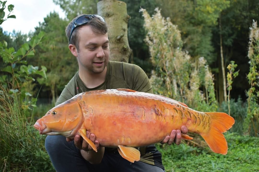 Post 7 by Wainstones Pool ⛰🎣 on Instagram (image)