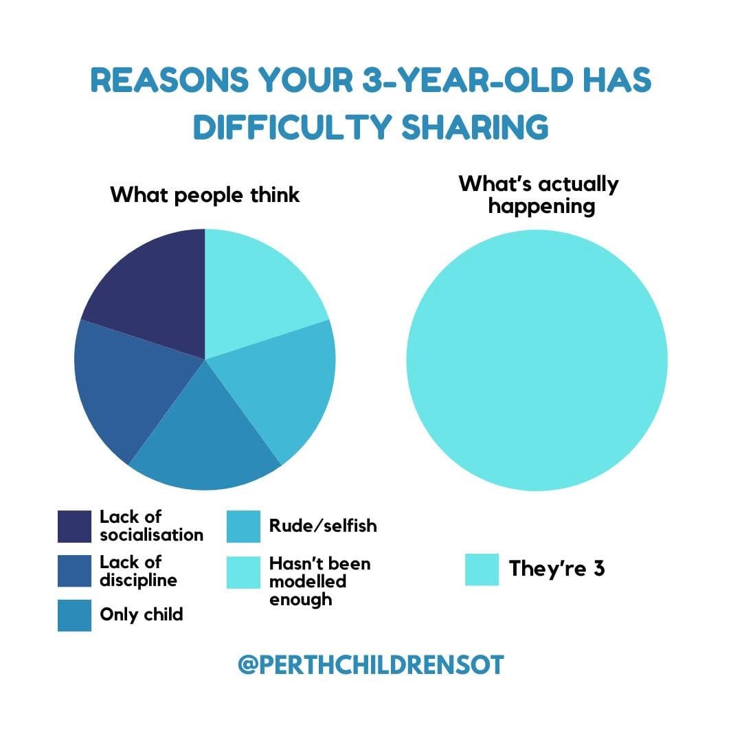 Post 8 by Sarina Shirazee | Paediatric OT on Instagram (image)