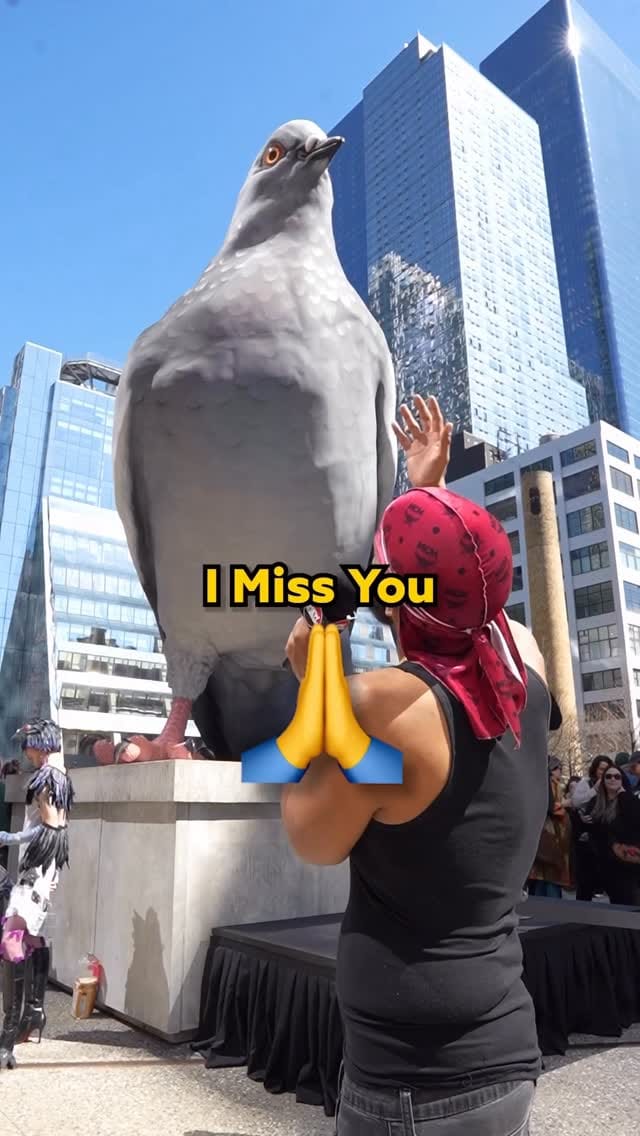 Post 7 by Ivan Argote on Instagram (video)