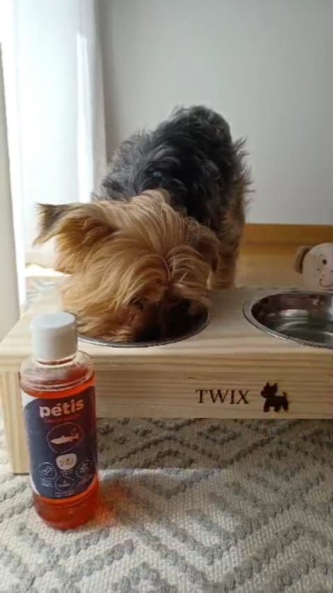 Post 8 by TᗯI᙭ TᕼE YOᖇKIE 💙 on Instagram (video)