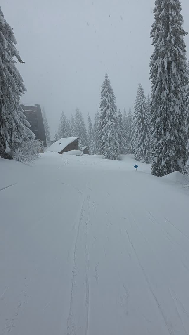Post 9 by Ski škola "Peggy" - Jahorina on Instagram (video)