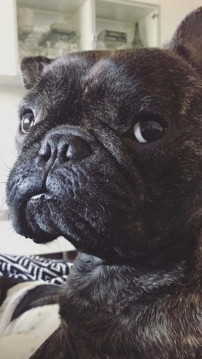 Post 9 by Pierre, Remy & Benny on Instagram (video)