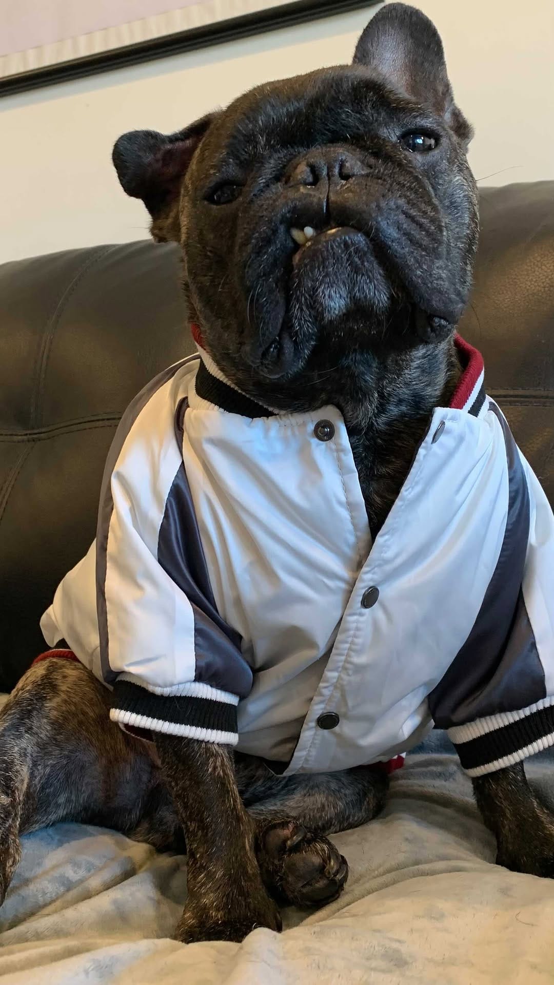Post 8 by Pierre, Remy & Benny on Instagram (video)