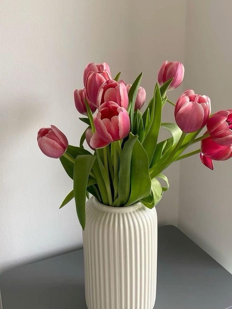 Post 8 by 𝐂𝐡𝐢𝐚𝐫𝐚 🇮🇹 on Instagram (image)