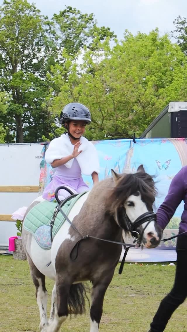 Post 3 by My Little Ponies 🏳️‍🌈 | Agility Showteam on Instagram (video)