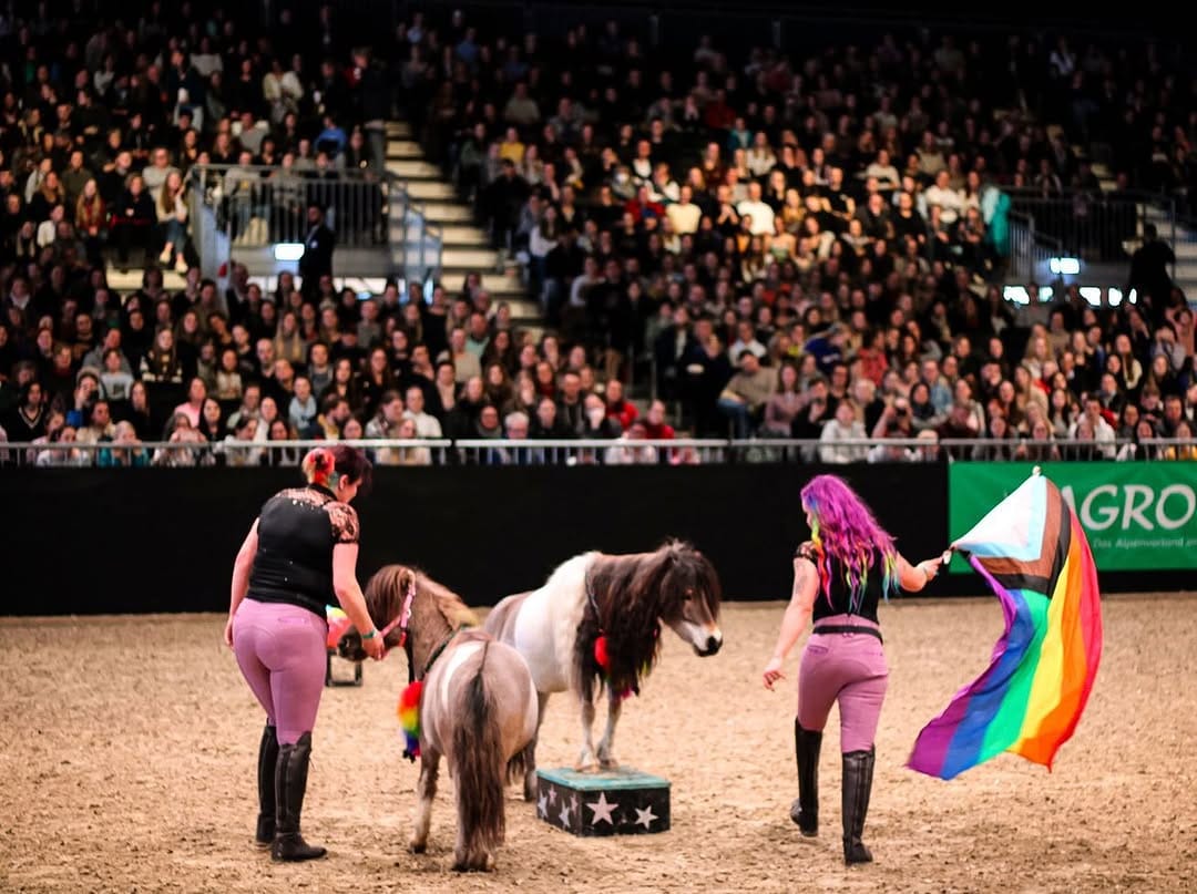 Post 10 by My Little Ponies 🏳️‍🌈 | Agility Showteam on Instagram (carousel)