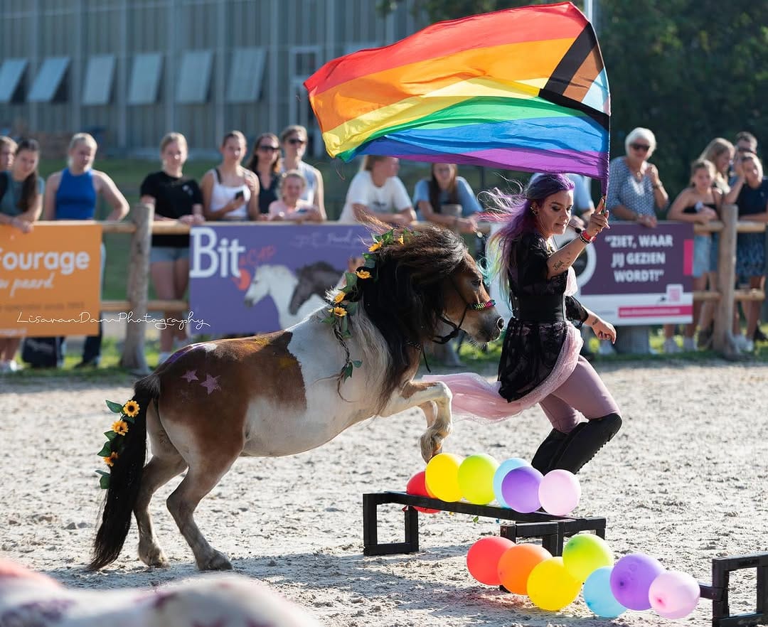 Post 8 by My Little Ponies 🏳️‍🌈 | Agility Showteam on Instagram (carousel)