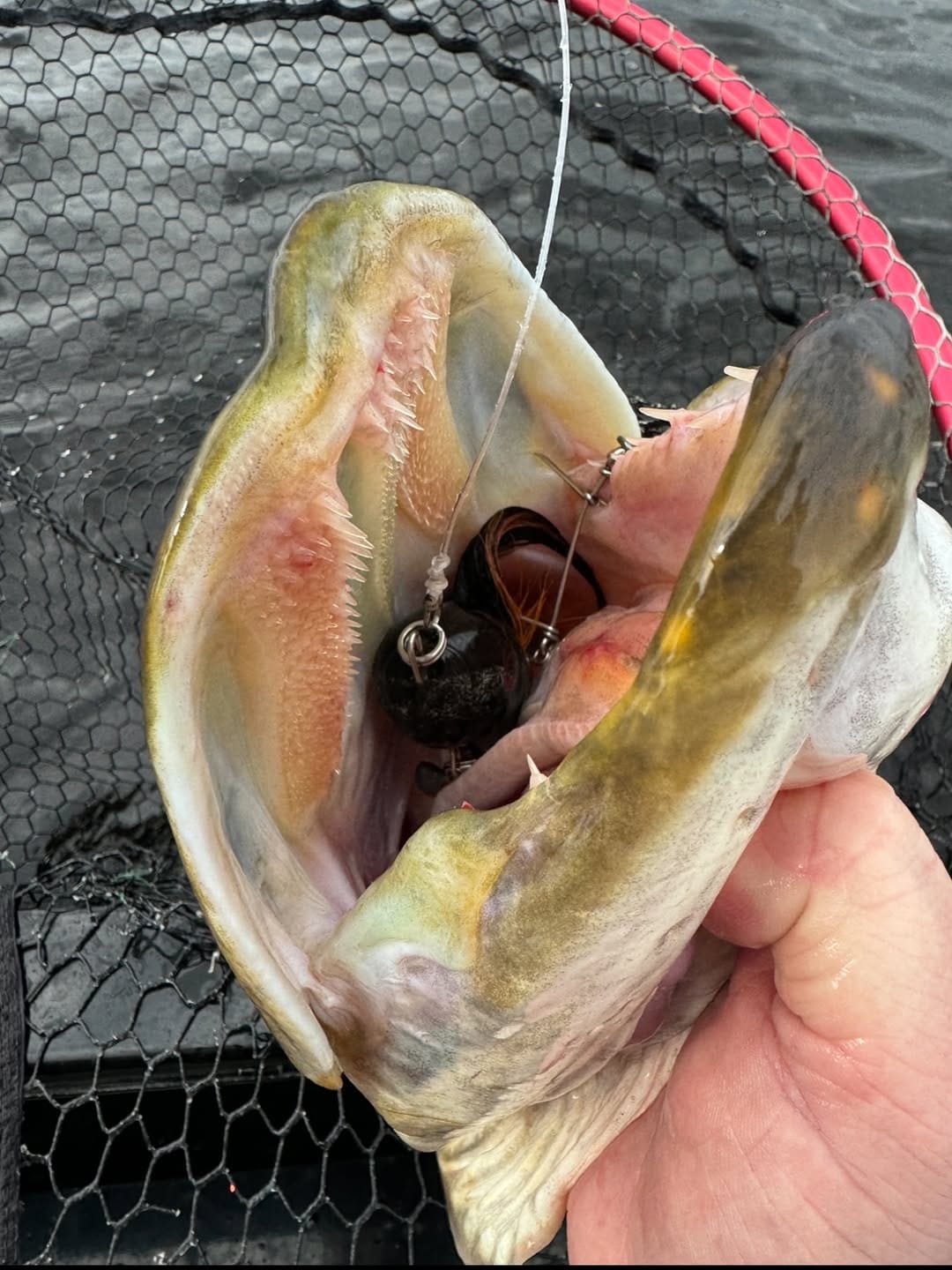 Post 2 by BlackBay fishing Lodge on Instagram (carousel)