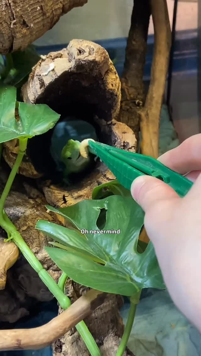 Post 5 by SEALIFE ADVENTURE on Instagram (video)