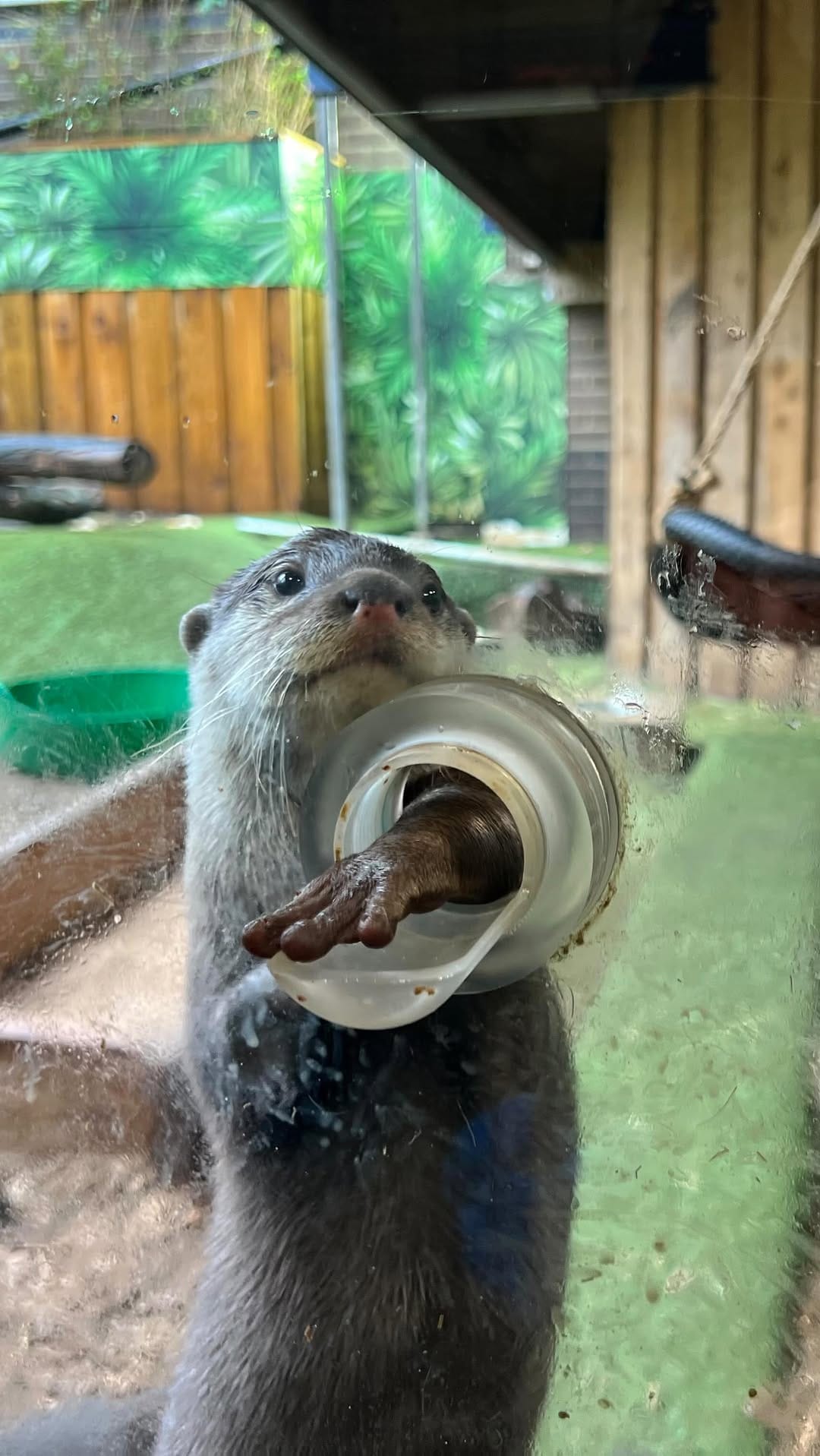 Post 8 by SEALIFE ADVENTURE on Instagram (video)